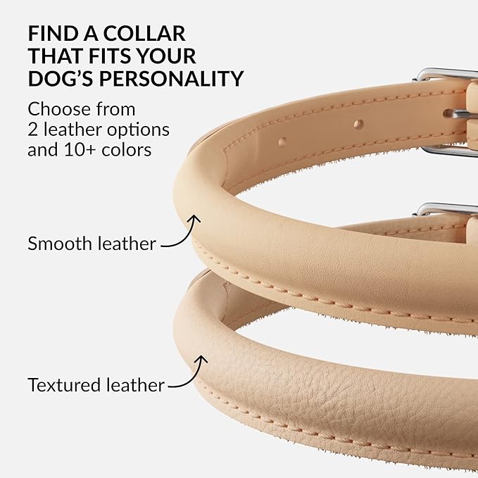 CollarDirect Rolled Leather Dog Collar, Soft Padded Round Puppy Collar, Handmade Genuine Leather Collar Dog Small Large Cat Collars 13 Colors (6-7 Inch, Beige Smooth)