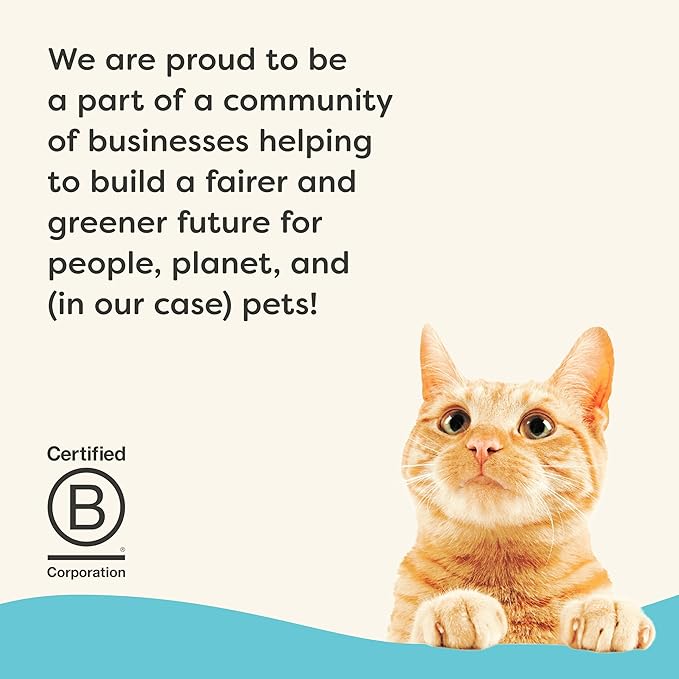 Applaws Vitality Wet Cat Food in Broth, Natural Canned Cat Food, Wet Food for Cats with Added Vitamins and Minerals, Grain Free, Carrageenan Free, Tuna Fillet in Broth (24 Count, 2.47 oz Cans)