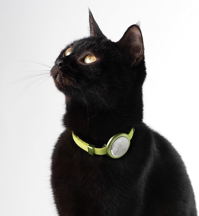 Safety Cat Collar Pro, Lightweight Elastic Release Non Breakaway Cat Collar Adjustable with Snap Fastener for Kitten All Small Large Cats, US IDA Gold Award (Burgundy, M 7.9-15.7")