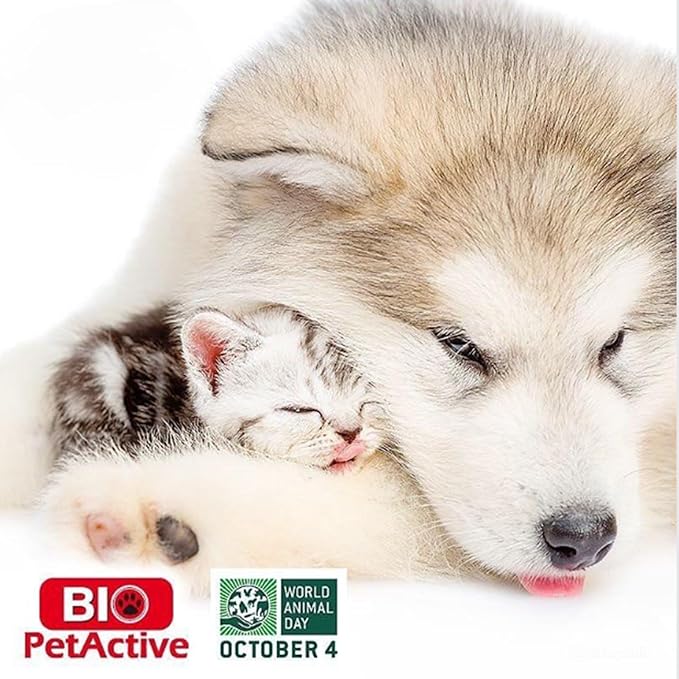 Bio Pet Active Kitten Milk Replacer - Easy-to-Digest Milk Powder with Vitamins, Minerals and Taurine for Kittens and Mothers, 7.05 oz