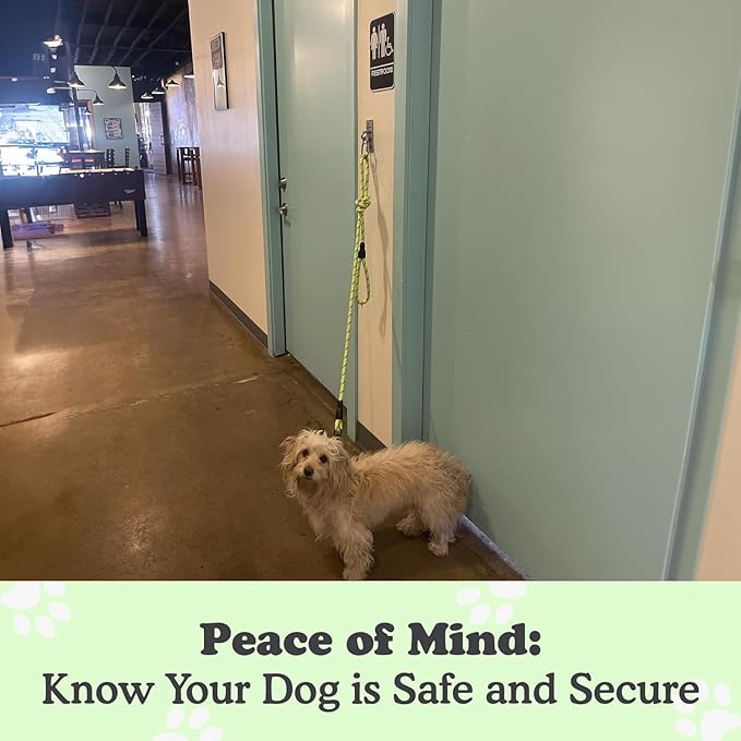 Canine Hitch- Secure Dog Leash Parking Wall Slim Hook with Clip 2 Pack - Tie Out Stainless Steel & ABS Mounting Plate for Strength - Practical Lead Management for Home & Business