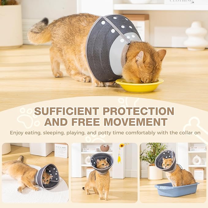 Avont Cat Cone Collar Soft to Stop Licking, Adjustable Foldable Lightweight Kitten Recovery Collar After Surgery for Small Dogs, Elizabeth Cone of Shame Alternative -Darkgrey(M)