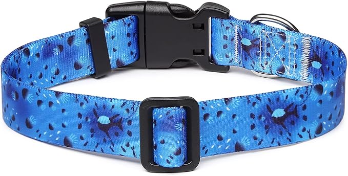 Mercano Adjustable Dog Collar - Special Design Patterns, Soft Nylon Comfortable Durable Pet Collar for Small Medium Large Dogs (XS, Blue Ocean)