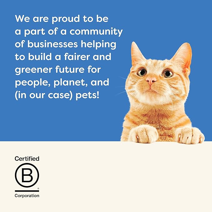 Applaws Natural Wet Cat Food in Gravy, Limited Ingredient Wet Cat Food Pouches, No Additives, Made with Natural Ingredients, Tuna with Shrimp in Gravy (12 x 2.47oz Pouches)