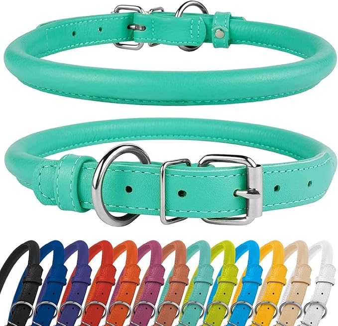 CollarDirect Rolled Leather Dog Collar, Soft Padded Round Puppy Collar, Handmade Genuine Leather Collar Dog Small Large Cat Collars 13 Colors (8-11 Inch, Mint Green Textured)
