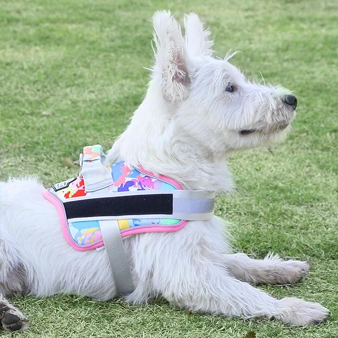 Bolux Dog Harness, No-Pull Reflective Dog Vest, Breathable Adjustable Pet Harness with Handle for Outdoor Walking - No More Pulling, Tugging or Choking (Large (Pack of 1), OilPainting)