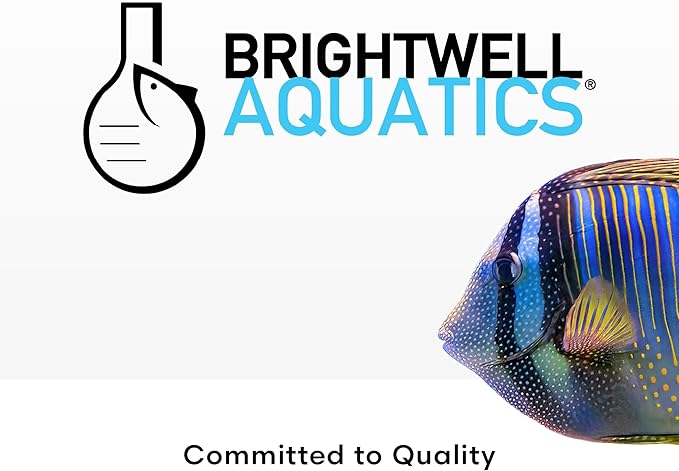 Brightwell Aquatics Rēplenish – Premium Trace & Minor Element Supplement for Marine Aquariums, Supports Healthy Fish, Corals, and Invertebrates, 2 L