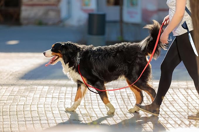 TwoEar 4FT 1IN Strong Red Dog Leash with 2 Padded Handles, Traffic Handle Extra Control, Comfortable Soft Dual Handle, Auto Lock Hook, Reflective Walking Lead for Small Medium and Large Dogs