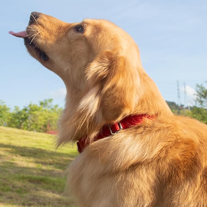 Hyhug Dog Collar with Quick Release Buckle, Nylon Adjustable Durable Cute Pet Collars for Medium Dogs, Boy and Girl(Medium, Red)