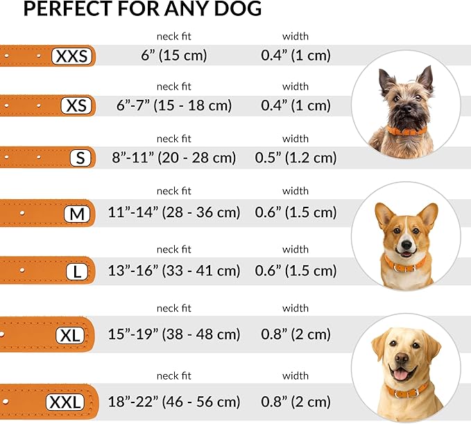 CollarDirect Rolled Leather Dog Collar, Soft Padded Round Puppy Collar, Handmade Genuine Leather Collar Dog Small Large Cat Collars 13 Colors (11-14 Inch, Orange Textured)