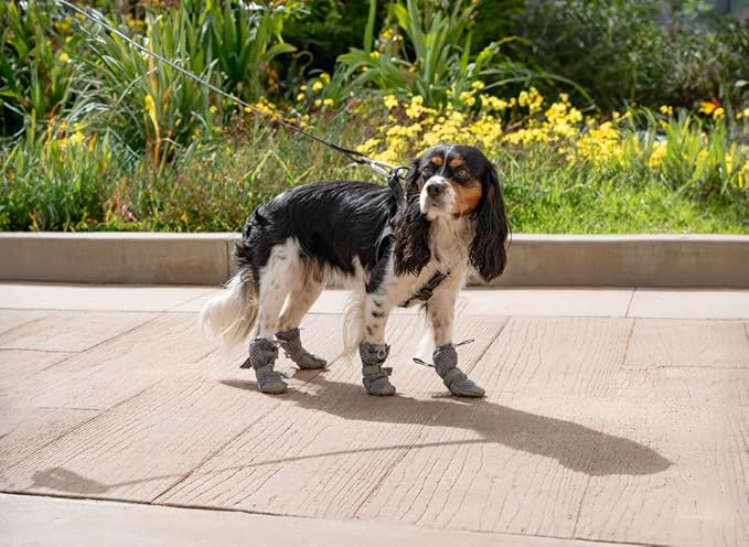 Canada Pooch Dog Boots for Hot Pavement - Dog Boots & Paw Protectors with Anti Slip Rubber | Water Friendly, Breathable Dog Shoes for Hot Days, Great for Dogs Grey - Size 2