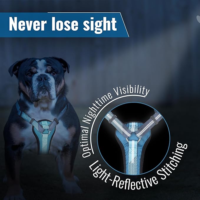 No-Pull Dog Harness with Handle - Escape Proof, Anti-Pulling, Grip Control, Multi-Angle Reflective for Safe Walks & Training, Easy On & Off, Metal Buckle–Pet Harness, Medium/Large Dogs- H3- Orange