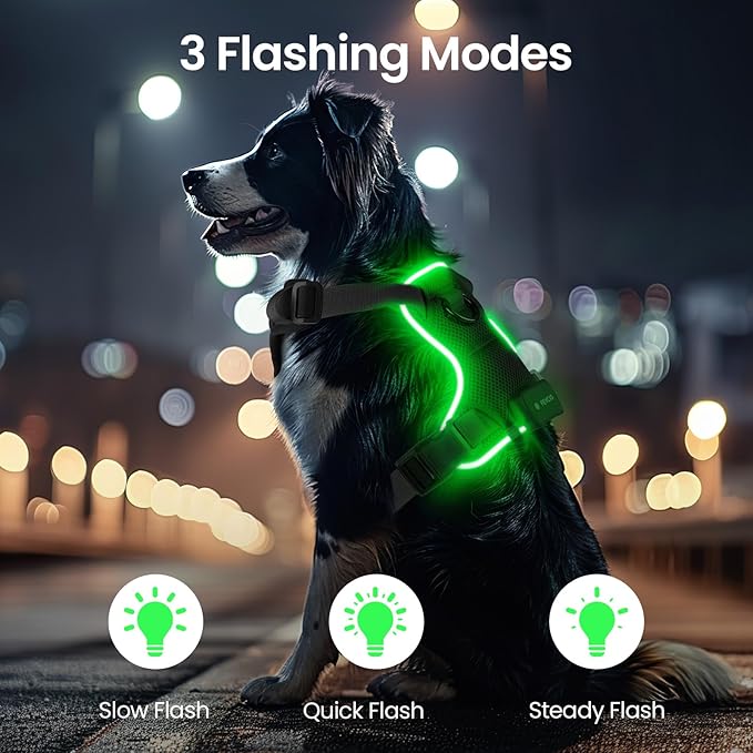 Light Up Dog Harness,No Pull Led Dog Harness Rechargeable, Reflective Lighted Safety Vest for Small Medium Large Dogs,High Visibility,4 Point Adjustable,Breathable Soft Mesh,Black,S