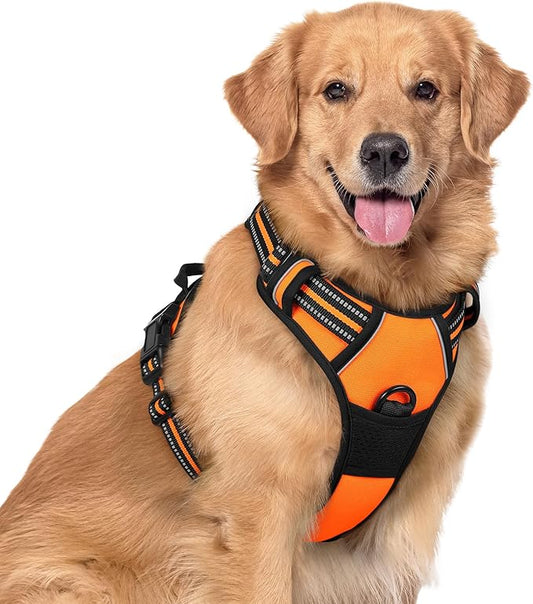 rabbitgoo Dog Harness No Pull with 2 Leash Clips, Adjustable Soft Padded, Reflective Oxford No Choke Pet Vest with Easy Control Handle for Large Dogs, Orange, XL