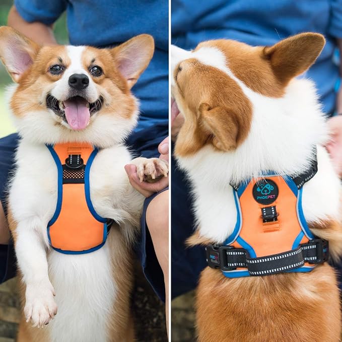 PHOEPET 2019 Reflective Dog Harness Large Breed Adjustable No Pull Vest with with Handle 2 Metal Rings 3 Buckles [Easy to Put on & Take Off](L, Orange)