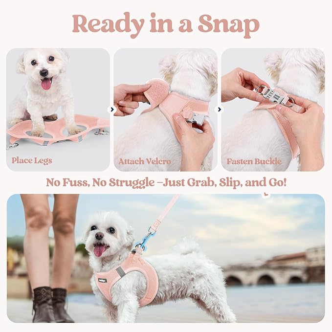 rabbitgoo Dog Harness Small Sized and Leash Set, Step in Soft Light Puppy Vest, Breathable Mesh Pet Harness, Reflective for Safe Outdoor Walking, Pink XS