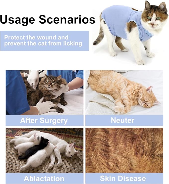 Cat Recovery Suit, Surgical Recovery Clothes for Abdominal Wound or Skin Disease, Cats Onesie After Surgery and Spay, E-Collar Alternative Pajama Suit (Blue, Medium)