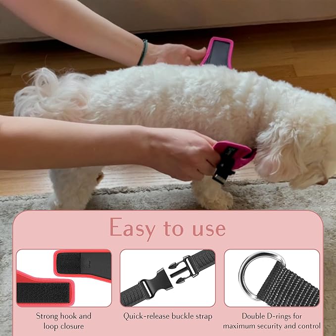 Comfort fit Step-in Dog & Puppy Harness - Comfortable All Weather Dog Vest Harness: Adjustable, Soft Padded, Easy to Put-on for Small, Medium-Sized Dogs.