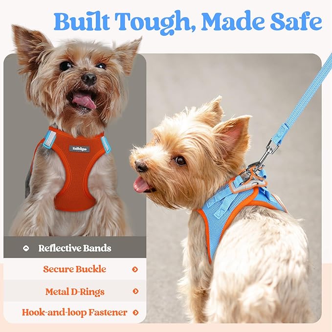 rabbitgoo Dog Harness Small Sized and Leash Set, Step in Soft Light Puppy Vest, Breathable Mesh Pet Harness, Reflective for Safe Easy Walking, Blue & Orange M