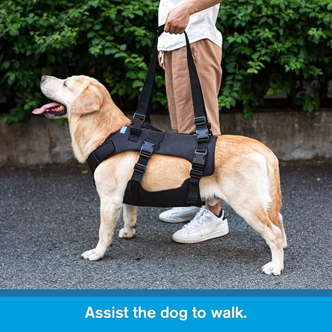 Dog Lift Harness, Rehabilitation Lifts Vest for Dogs, Support & Recovery Sling, Adjustable Breathable Lifting Straps for Old, Joint Injuries, Arthritis, Paralysis Dogs Walk (L, Black)