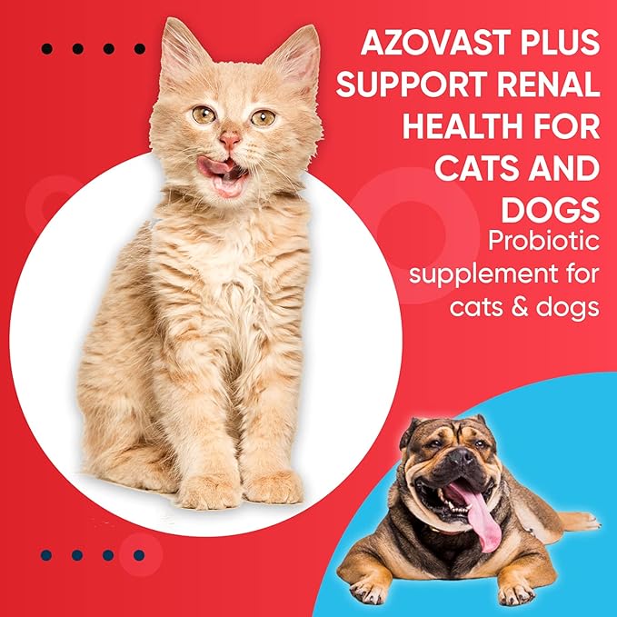 Azovast Plus Kidney Health Supplement for Dogs & Cats, 360ct - NO Refrigeration Required - Help Support Kidney Function & Manage Renal Toxins - Renal Care Supplement Capsule(U.S.A)(360 Caps)