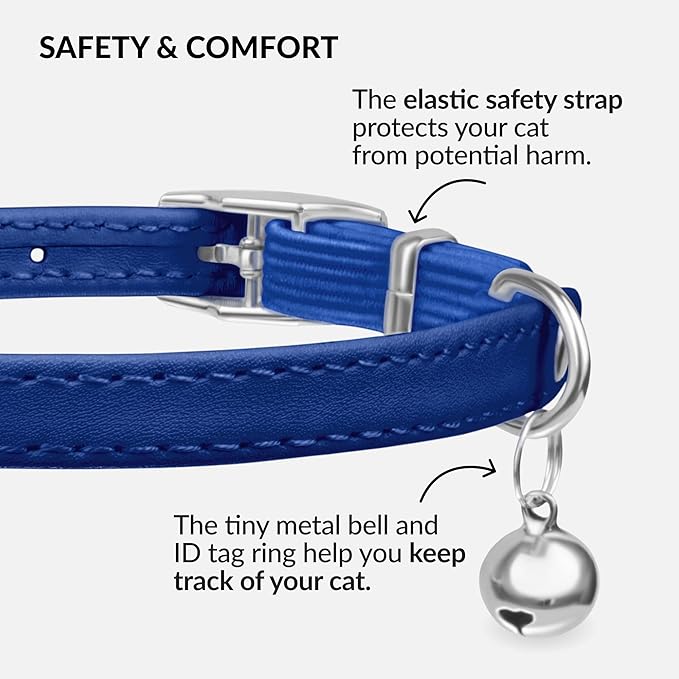 CollarDirect Leather Cat Collar, Kitten Collar with Removable Bell Black Blue Red Orange Lime Green (Neck Fit 8"-11", Navy Blue)