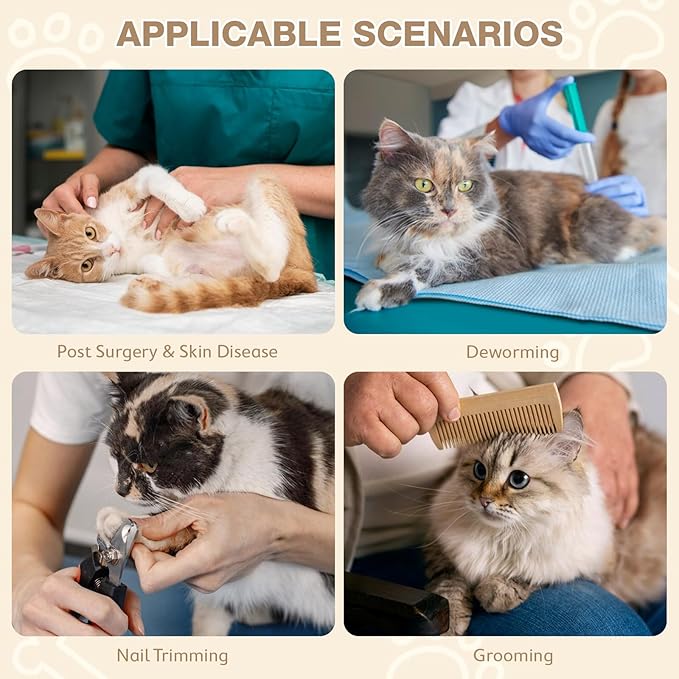 Avont Cat Cone Collar Soft to Stop Licking, Adjustable Foldable Lightweight Kitten Recovery Collar After Surgery for Small Dogs, Elizabeth Cone of Shame Alternative -Orange(L)