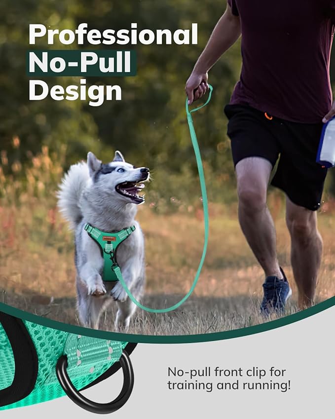 MIDOG No-Pull Dog Harness | Adjustable & Reflective Pet Harness Leash Set for Small Medium Large Dogs Walking, Training| No Choke, Front Clip, Soft Padded Vest with Easy Control Handle - Green, S