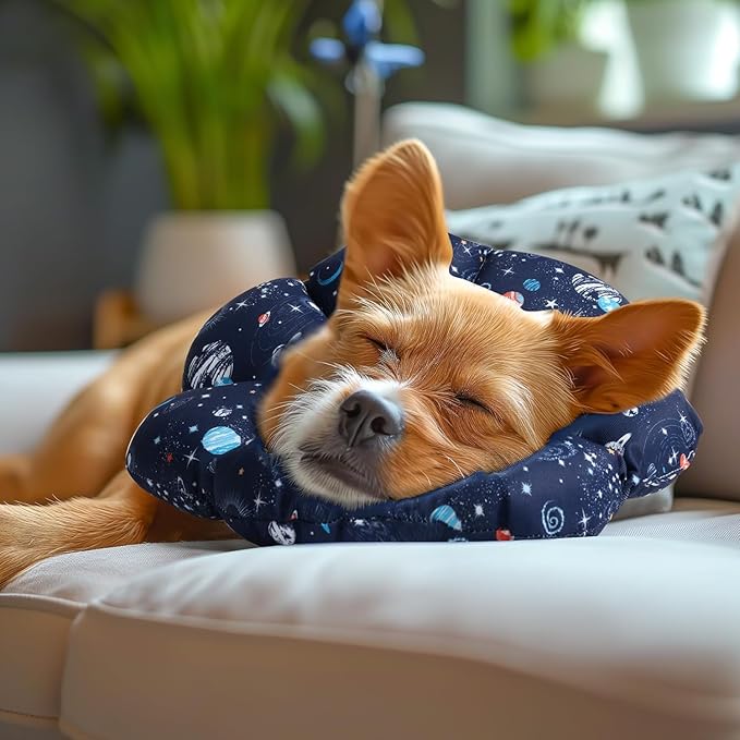 ComSaf Soft, Protective Adjustable Cat Cone Collar to Stop Licking After Surgery, Comfortable Lightweight Elizabethan Collar for Large Cat and Small Dog, Dog Recovery Collar Prevents Licking Wounds