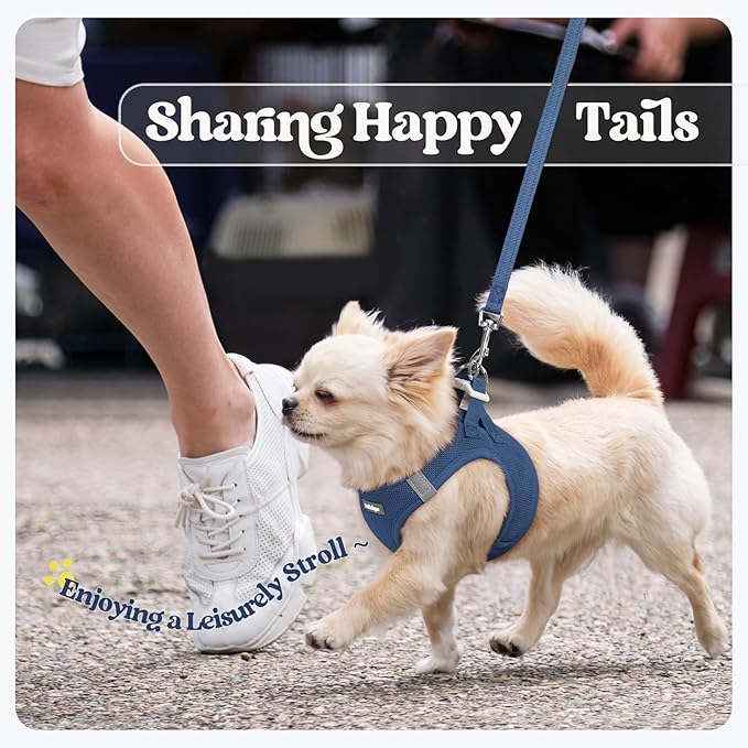 rabbitgoo Dog Harness Small Sized and Leash Set, Step in Soft Light Puppy Vest, Breathable Mesh Pet Harness, Reflective for Safe Outdoor Walking, Navy Blue M