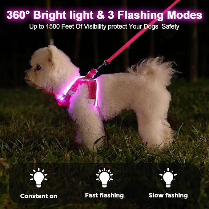 Light Up Dog Harness,Rechargeable LED Dog Harness for Small Medium Large Dogs,Reflective Lighted Safety Vest for Night Walking & Camping,Lightweight & Adjustable,Pink,M