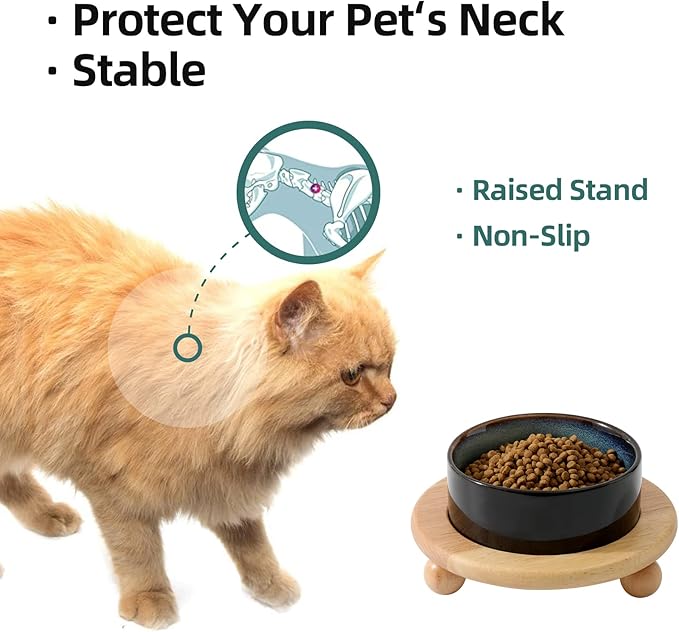 Ceramic Elevated Cat Food and Water Bowl, Kitty Bowl, Raised Cat Dish, Pet Feeder (5.1 in,1 x Starry Sky + Stand)