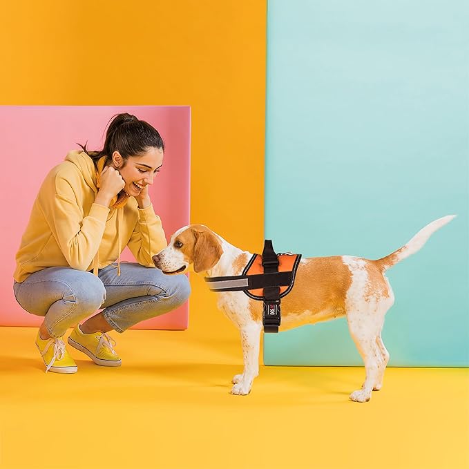 Dogline Dog Harness, Reflective No-Pull Adjustable Vest with Handle for Walking, Training, Breathable, No - Choke Harness for Small, Medium or Large Dogs Room for Patches Girth 15 to 18 in Orange