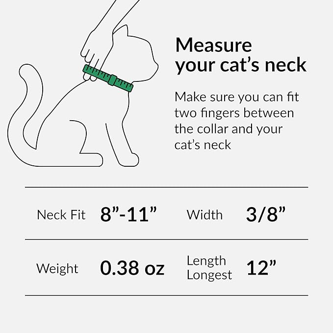CollarDirect Leather Cat Collar with Bell - Kitten Collar, Small and Big Cat for Boy Cats, Girl Cats with Safety Elastic Strap (Neck Fit 8"-11", Red)