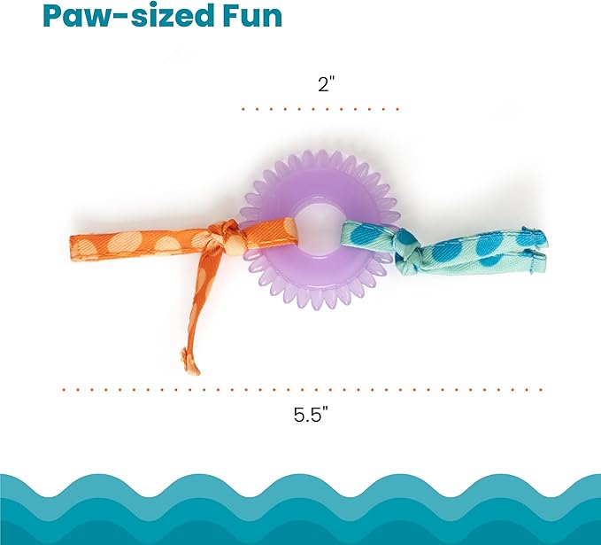 Catstages Kitty Chew Wheel, Dental Cat Toy with Catnip Oil, Teeth Cleaning, Healthy Chewing, Boredom Relief, Kicking & Batting for Kittens and Adult Cats, Purple