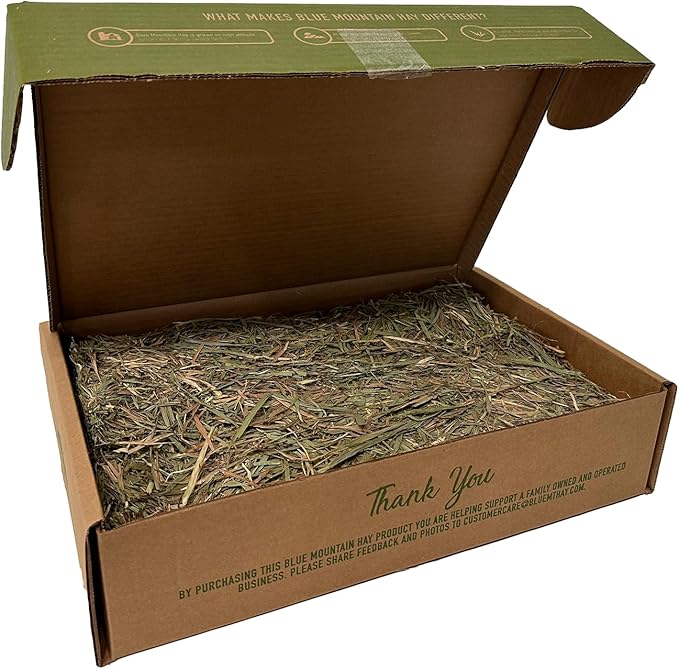Blue Mountain Hay | Fresh Timothy Hay (25 Pounds) | Great for All Ages | High-Altitude Hay Pet Food for Rabbits, Guinea Pigs, Chinchillas, Hamsters, and Other Small Pets
