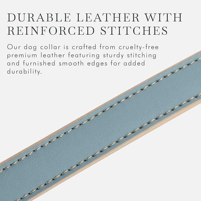 Cupertino Dog Collars, Harnesses & Leashes Made from Vegan Leather with Dog Tracker Device Holder Adjustable Dog Collar (Extra Small, Blue)
