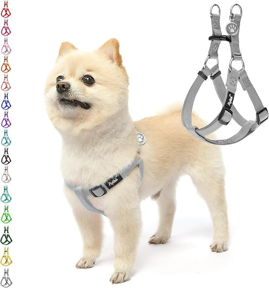 PUPTECK No Pull Dog Harness Soft Adjustable Basic Nylon Step in Puppy Vest Outdoor Walking with ID Tag, Grey, XS