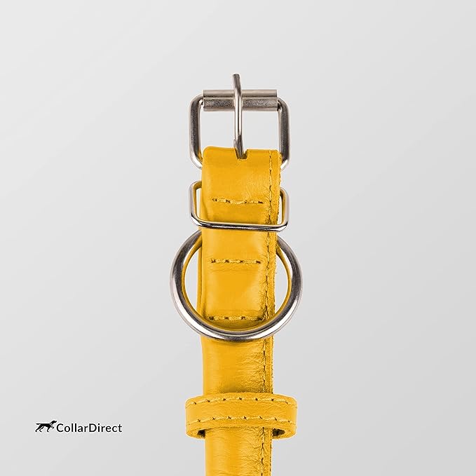 CollarDirect Rolled Leather Dog Collar, Soft Padded Round Puppy Collar, Handmade Genuine Leather Collar Dog Small Large Cat Collars 13 Colors (11-14 Inch, Yellow Textured)