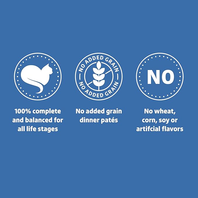 Amazon Brand - Wonder Bound Wet Cat Food, Pate, No Added Grain, (Salmon), 3 ounce (Pack of 24)