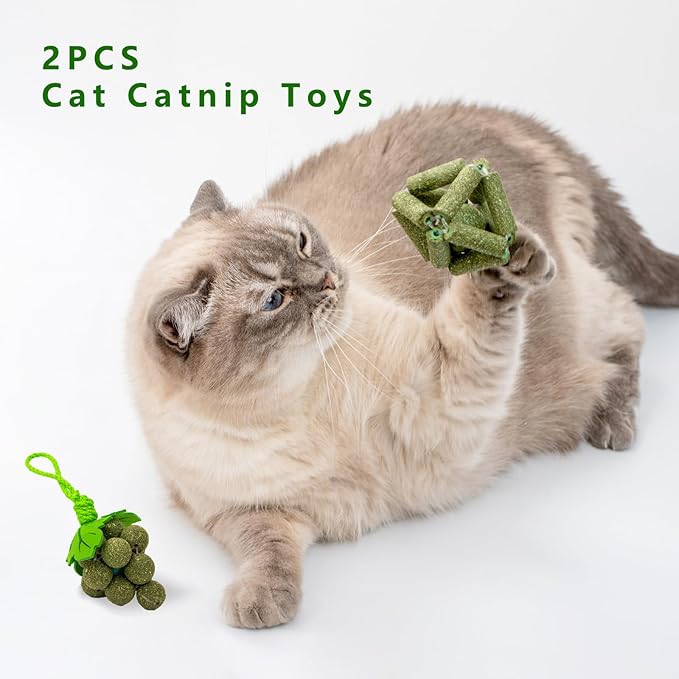 Cat Catnip Toys,2Pcs Catnip Ball for Cats,Toys for Indoor Cats,Cat Chew Exercise Toy for All Breeds and Species,Enhances Oral and Dental Health