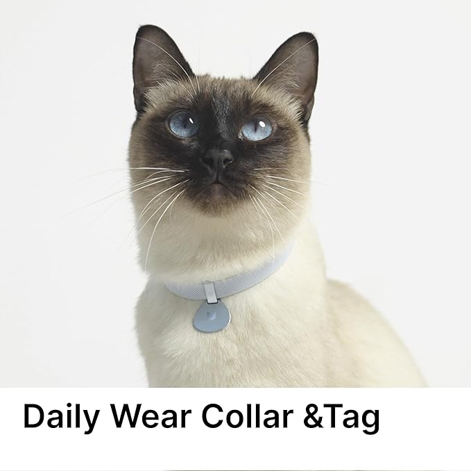 Safety Cat Collar and ID Tag Set - Elastic Quick Release Non Breakaway Personalized Anodized Aluminum Engraved Pet Name Tag, Lightweight for Kitten Small Large Cats