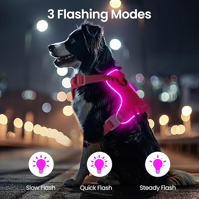 Light Up Dog Harness,Reflective Pet Harness Rechargeable,Led Dog Vest Harness for Night Walking,Adjustable Dog Safety Vest for Small Medium Large Dogs-No Pull,Pink,M