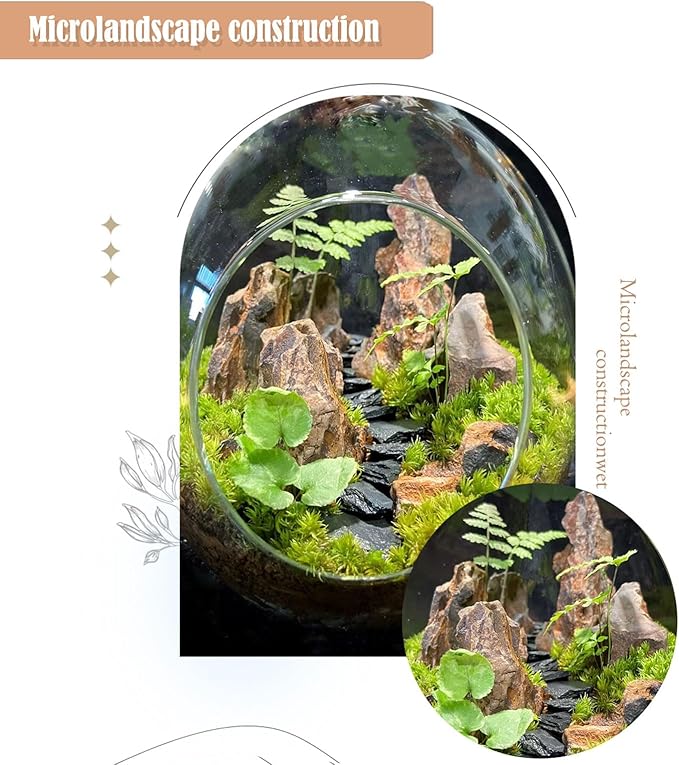 Aquariums Stones Natural Rocks 3Lb Aquarium Rock for Fish Tank Aquascaping,Aquariums,Terrariums,Vivariums,Decorative Stone,Reptile Enclosures,Paludariums,and Gardens-（2-5 Inch）