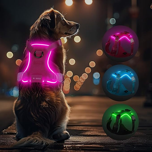 Light Up Dog Harness,Reflective Pet Harness Rechargeable,Led Dog Vest Harness for Night Walking,Adjustable Dog Safety Vest for Small Medium Large Dogs-No Pull,Pink,M