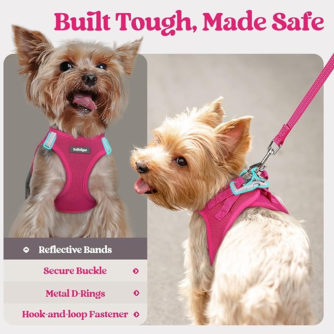 rabbitgoo Dog Harness Small Medium Sized and Leash Set, Step in Soft Light Puppy Vest, Breathable Mesh Pet Harness, Reflective for Safe Easy Walking, Rose Red L