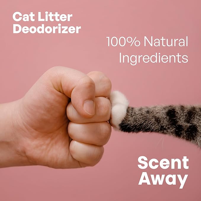Cat Litter Deodorizer | Litter Box Odor Eliminator | Fragrance-Free with Active Carbon | Eliminates Cat Odors and Smells to Keep Your Home Fresh and Clean (Pack of 1)