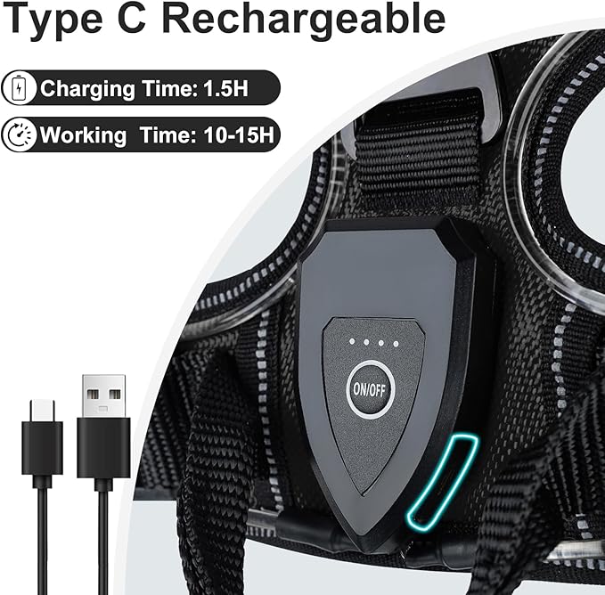 Taglory Light Up Dog Harness, Rechargeable No Pull Dog Vest with 3 Lightning Modes, Reflective Dog Harness with 2 Leash Clips & 4 Adjustable Slide Strips for Small Dogs, Black-Purple, S