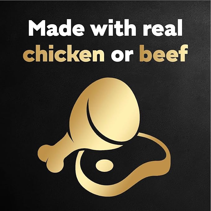 Cesar Filets in Gravy Wet Dog Food Filet Mignon Flavor and Rotisserie Chicken Flavor Variety Pack, 1.76 oz. Mini-Pouches (20 Count, Pack of 2)