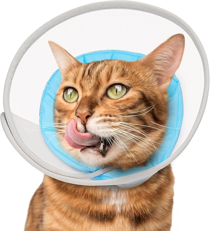 Cat Cone Collar Soft: Comfortable Waterproof Mesh Recovery Cone After Surgery to Stop Licking and Scratch, Alternative to Plastic Elizabeth Head/Neck Cone